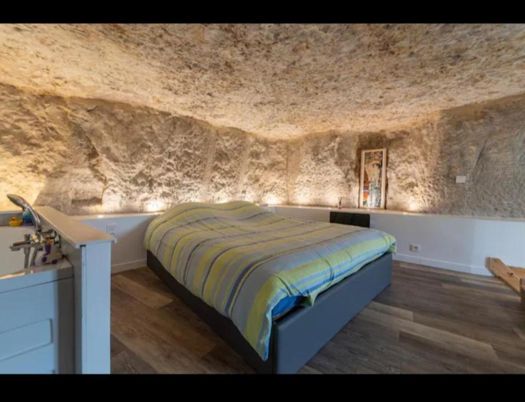 Maison Troglodyte 푸아티에 외부 사진